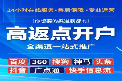 百度竞价公司案例分析：优化策略全解析